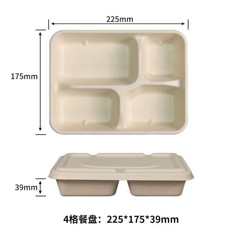 Bagasse Disposable Tray