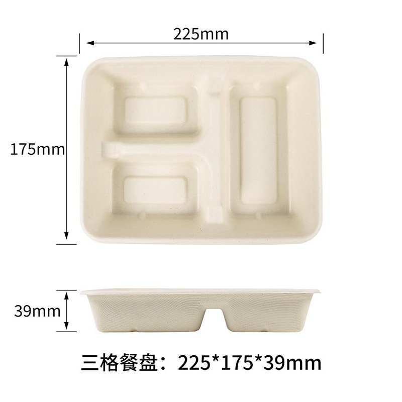 Bagasse Disposable Tray