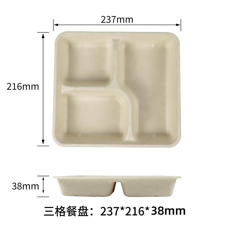 Bagasse Disposable Tray