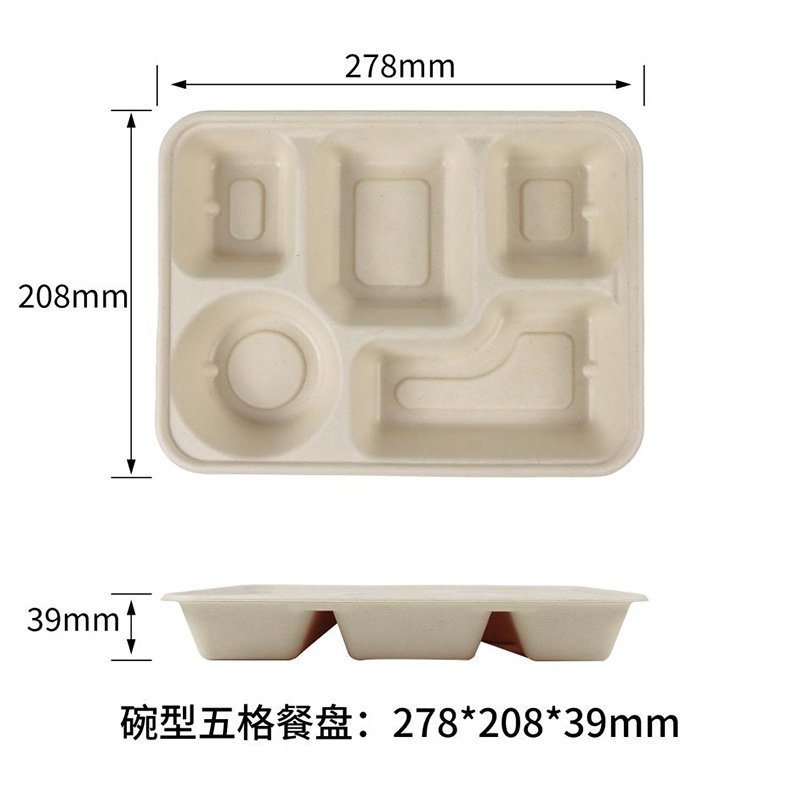 Bagasse Disposable Tray