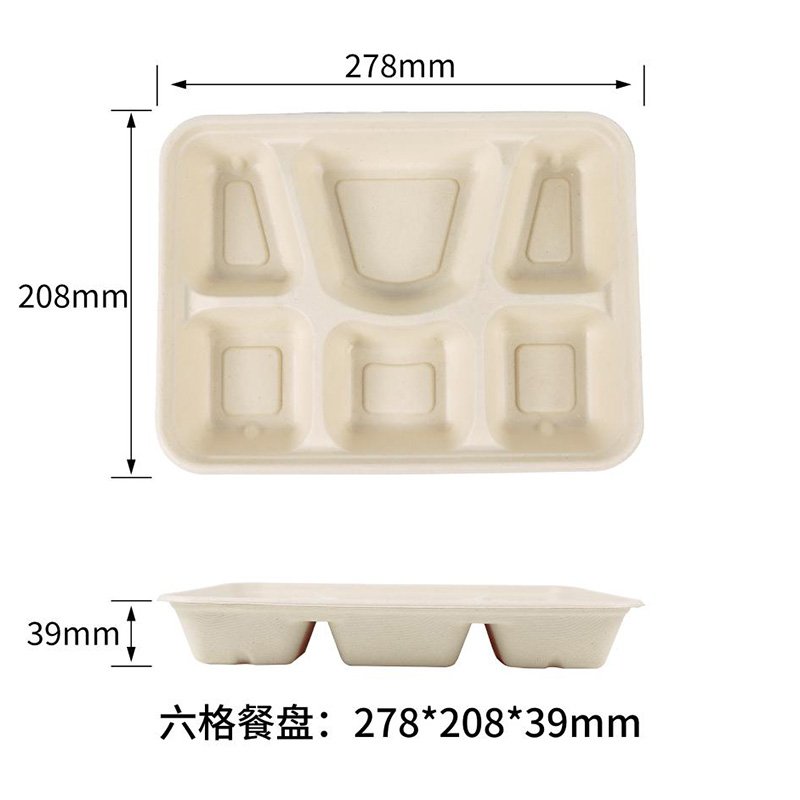 Bagasse Disposable Tray