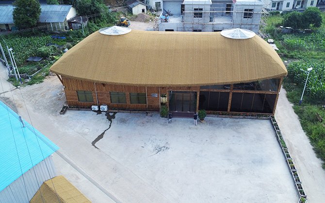 An Office Structure Constructed Entirely from Bamboo