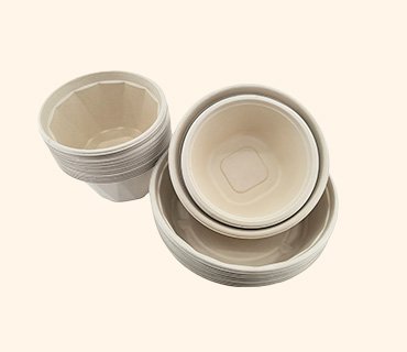 Bagasse Bowls