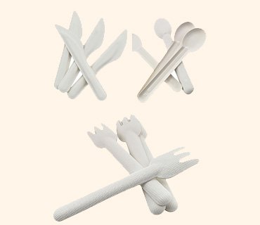 Bagasse Cutlery