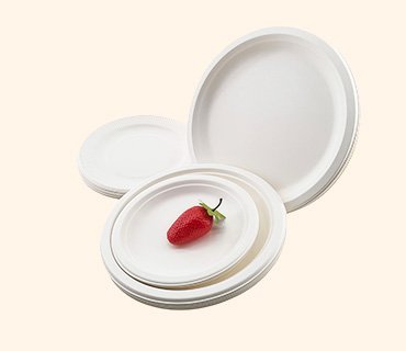Bagasse Round Plates