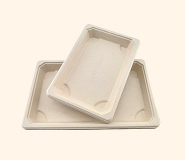 Bagasse Square Plates
