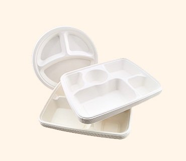 Bagasse Trays