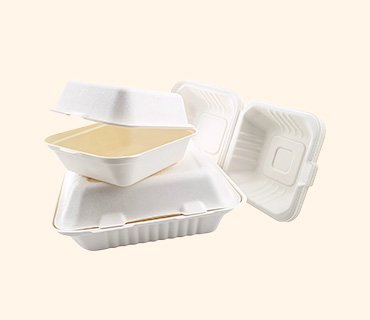 Bagasse Bento Boxes