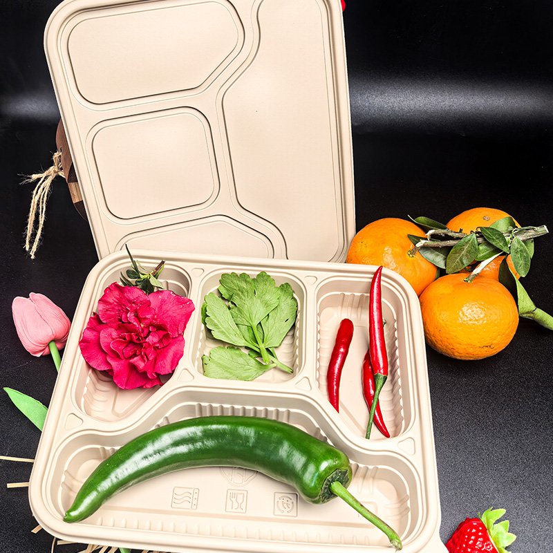 disposable lunch box wholesale